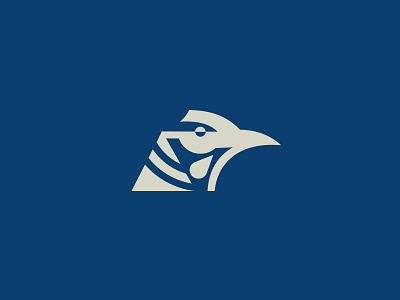 Northern Flicker alabama bird brand branding icon illustration minimal