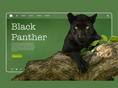 Black Panther 3d art adobe photoshop adobe xd animal logo animals app black design flat green india logo panthers ux vector web design webdesign