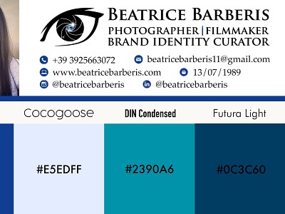 bb brand colors