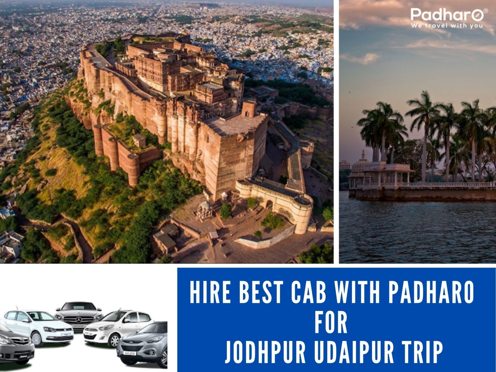 Hire can for Jodhpur Udaipur Trip with Padharo by kartik on Dribbble
