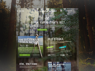 Our Forest - Portal cards forest government grid landing markers portal story ui website