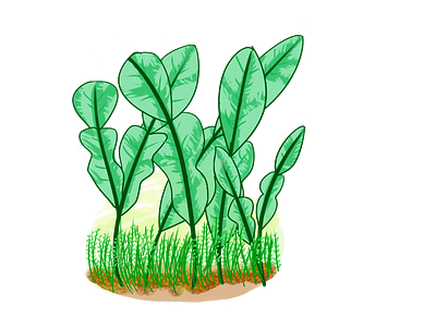 Plant Vibes green illustration ilustrator plant plant illustration