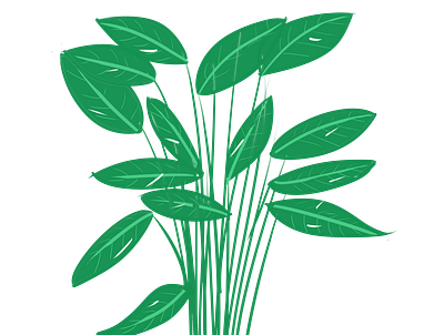 Lagia Plant green illustration plant illustration