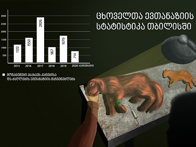 Illustration: Pet Euthanasia in Numbers animals cats digital art digitalart dogs euthanasia illustration journalism media pets vet