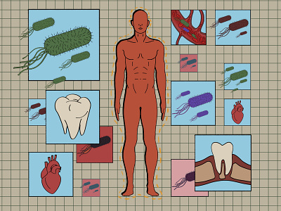 Illustration on microbiome research