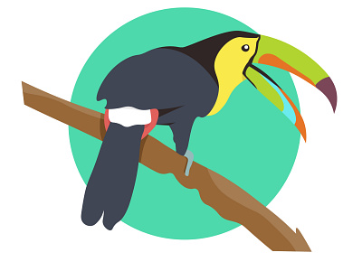 Toucan bird. Flat vector illustration. Tropical animal. animals art avatar branch character colorful cute design face illustration lifestyle logo toucan tree tropical wildlife