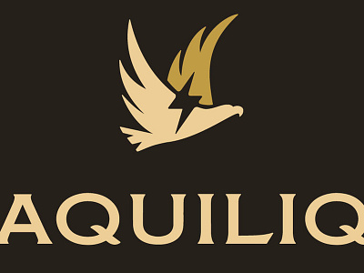 Aquiliq Fashion Logo Design