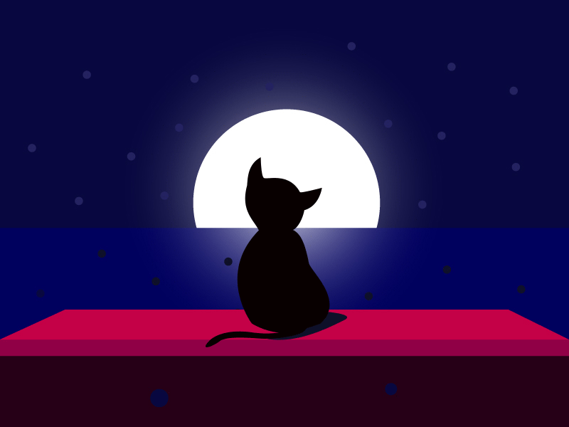 Cat @Night albania anahoxha animation flat gaphicdesign gif illustration loop minimal vector