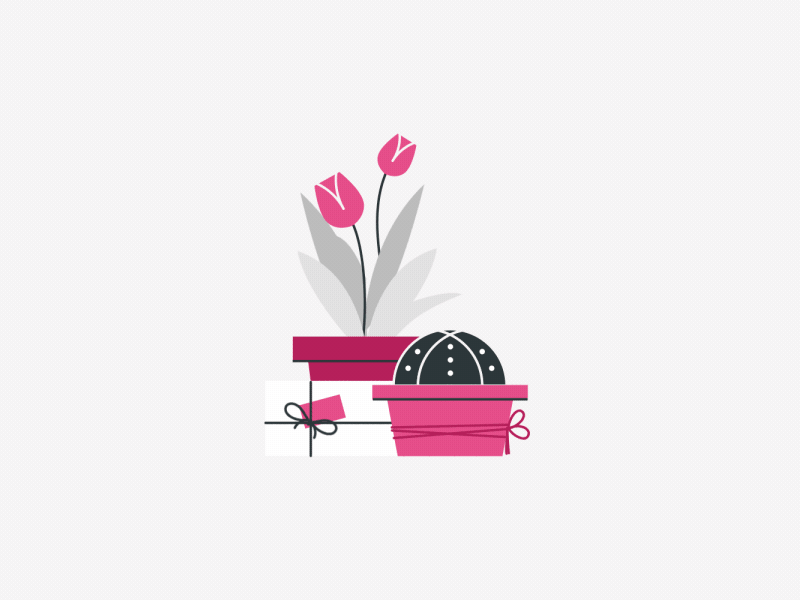 Flower Delivery animation cactus delivery flower gif gift illo illustration loop pink rose tulip
