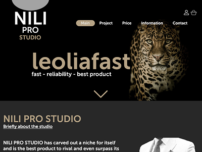 niliprostudio branding design photoshop site ux webdesign website