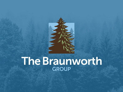 The Braunworth Group