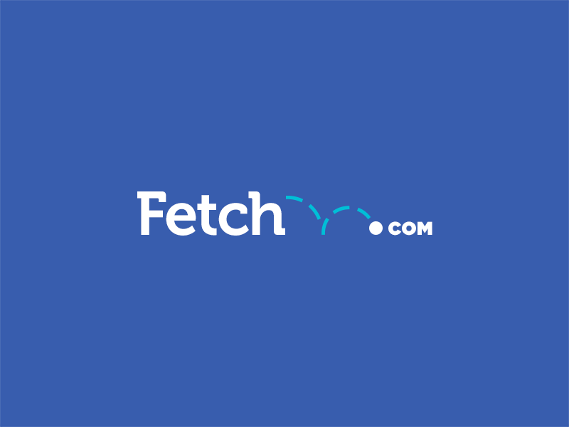 Fetch Branding branding color design identity logo web design