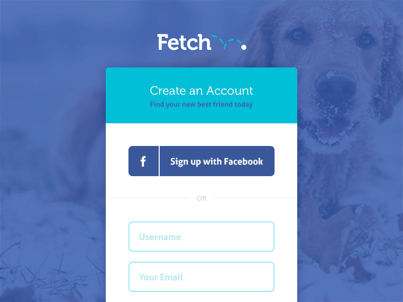 Fetch On-Boarding color design form login modal sign up web design