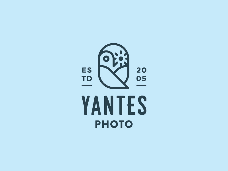 Hoot Hoot branding identity logo mark stroke color wordmark icon owl photography photographer