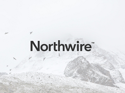 Wordmark avenir branding identity logo north wordmark