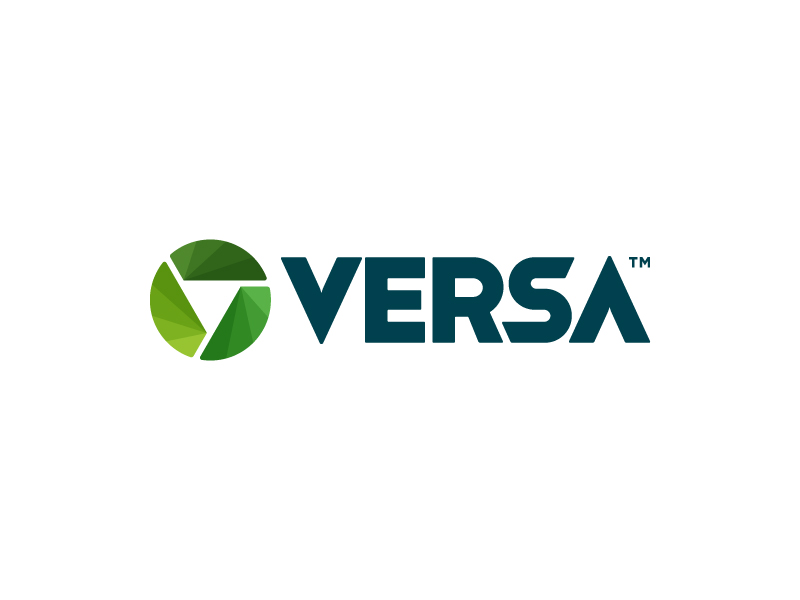 Versa Wordmark