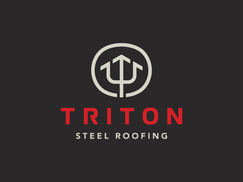 TRITON branding color construction design icon lockup logo mark typography wordmark