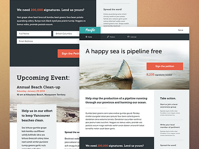 Pacific theme ui ux web design