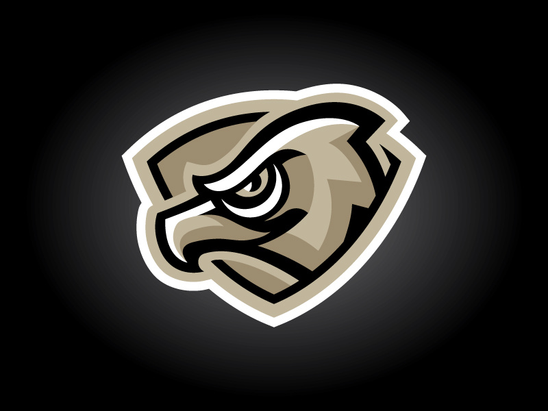 Las Vegas Nighthawks by Matthew Bell on Dribbble