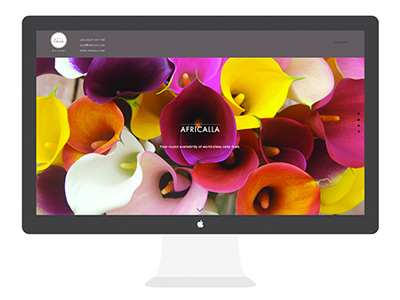 AFRICALLA—FLOWER IDENTITY branding logo print webdesign