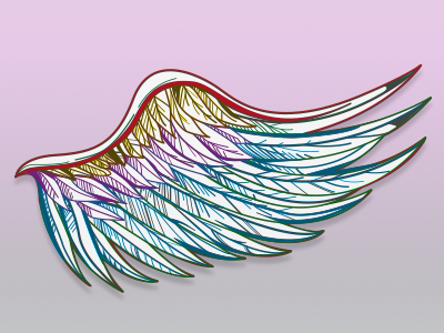 Wing branding identity illustration logo