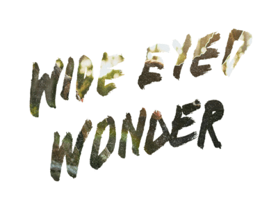 Wide Eyed Wonder