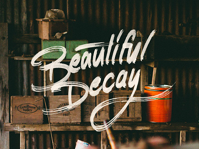 Beautiful Decay brush chisel copic hand drawn lettering marker type typography