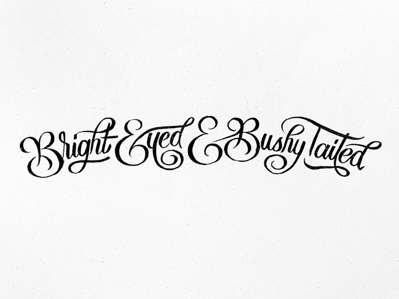 Bright Eyed & Bushy Tailed brush chisel copic hand drawn lettering marker type typography