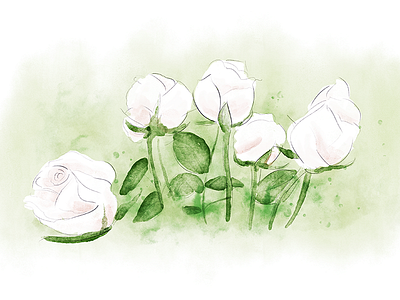 Roses brushes illustration paint photoshop rose roses watercolor