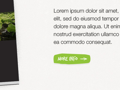 Web button - EP book book release button info ipsum lorem site website