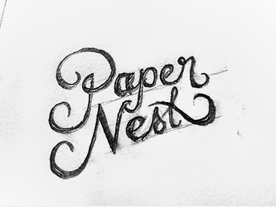 Paper Nest - Logotype concept draft logo logotype paper nest photography rough sketch type typography