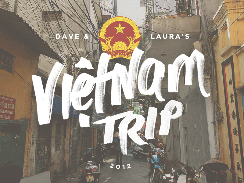 Vietnam Trip brand chisel copic honeymoon laura marker trip type typography vietnam