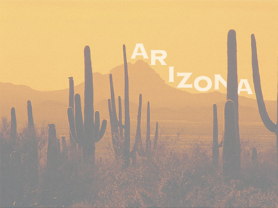 Arizona arizona state