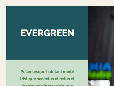 Evergreen evergreen theme tumblr