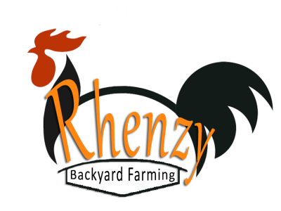 Poultry Farm Logo & Flyer on Behance