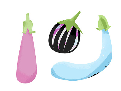 Eggplant collection aubergine design eggplant illustration vector