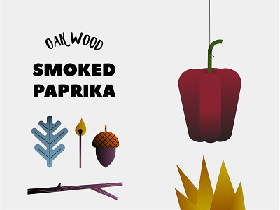 Smoked paprika acorn design fire illustration match oak oak leaf paprika smoked paprika vector