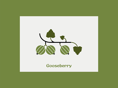 Gooseberry berry design gooseberry green illustration vector