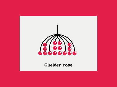 Guelder rose berry design guelder rose illustration red vector