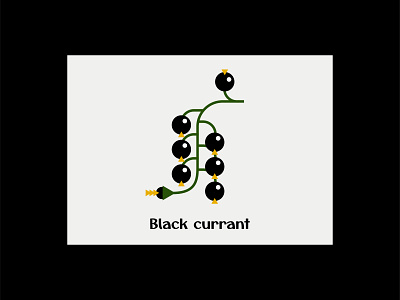 Black currant berry black black currant design illustration vector