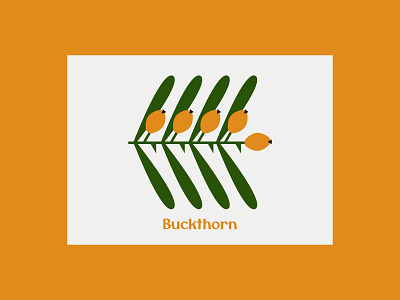 Buckthorn