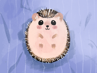 Hedgehog animal cute hedgehog illustration nature