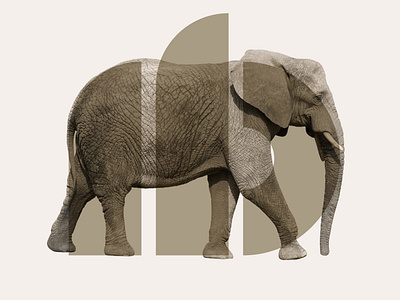 Ivory Base - Real Estate design icon logo typography