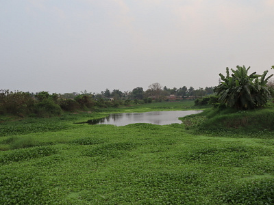 Beautiful sceneries of Rural Bengal