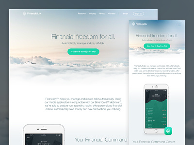 Financial Freedom - Responsive Marketing Website financial hero marketing responsive ui website