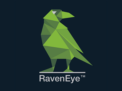 Raven Eye crow raven
