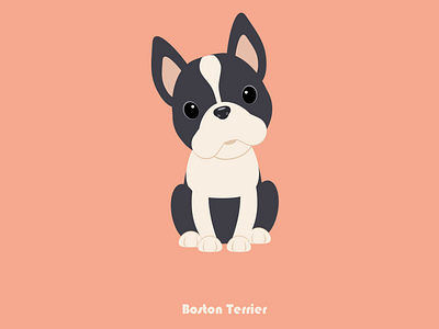 100 Days of Vector - Boston Terrier