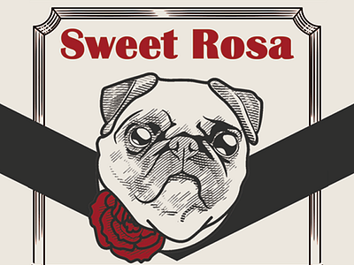 Sweet Rosa Wine Label dog engraving illustration pug vintage wine label