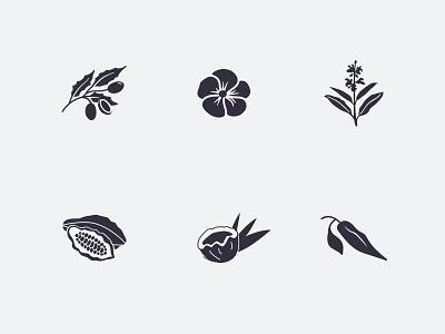 Ingredient Illustrations!