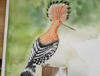 Watercolor bird illustration watercolor